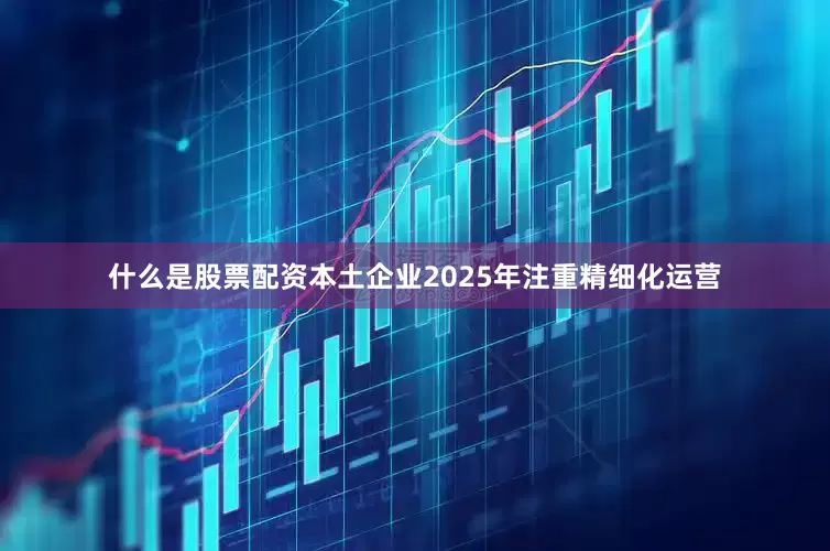 什么是股票配资本土企业2025年注重精细化运营